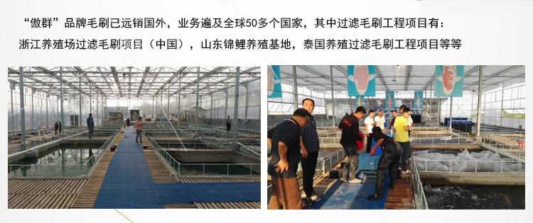 水族箱底过滤毛刷